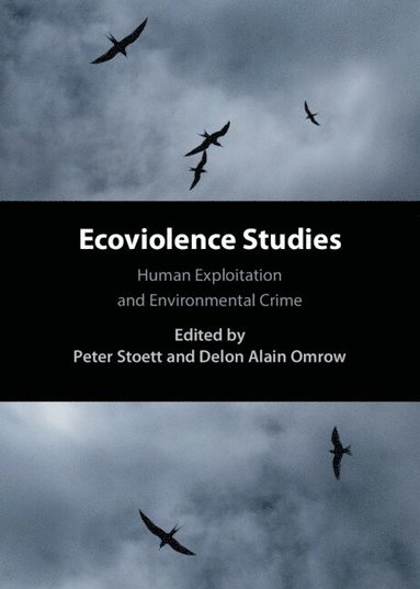 bokomslag Ecoviolence Studies