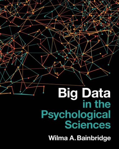 Wilma A. Bainbridge - Big Data in the Psychological Sciences, Häftad