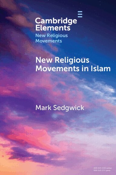 Mark Sedgwick - New Religious Movements in Islam, Häftad