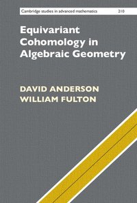bokomslag Equivariant Cohomology in Algebraic Geometry