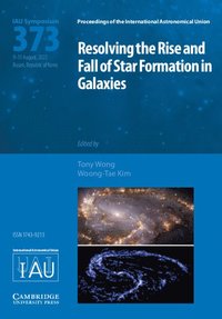 bokomslag Resolving the Rise and Fall of Star Formation in Galaxies (IAU S373)