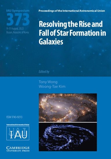 bokomslag Resolving the Rise and Fall of Star Formation in Galaxies (IAU S373)