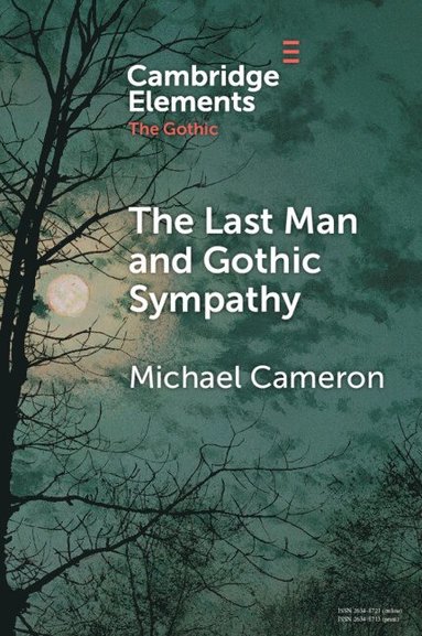 bokomslag The Last Man and Gothic Sympathy