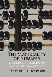 bokomslag The Materiality of Numbers