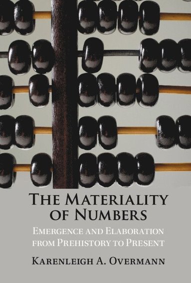 bokomslag Materiality of Numbers