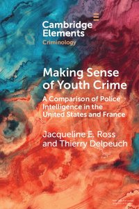 bokomslag Making Sense of Youth Crime