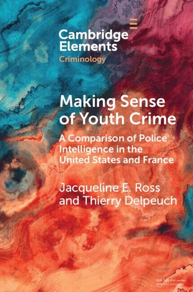 Jacqueline E. Ross, Thierry Delpeuch - Making Sense of Youth Crime, Häftad