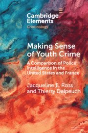 bokomslag Making Sense of Youth Crime