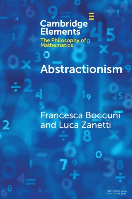 Francesca Boccuni, Luca Zanetti, Francesca (Vita-Salute San Raffaele University) Boccuni, Luca (Scuola Universitaria Superiore IUSS Pavia) Zanetti - Abstractionism, Häftad