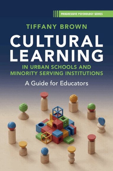 Tiffany Brown - Cultural Learning in Urban Schools and Minority Serving Institutions, Häftad