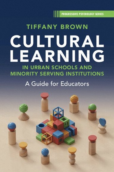 bokomslag Cultural Learning in Urban Schools and Minority Serving Institutions