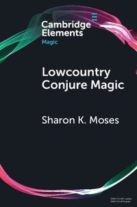 bokomslag Lowcountry Conjure Magic