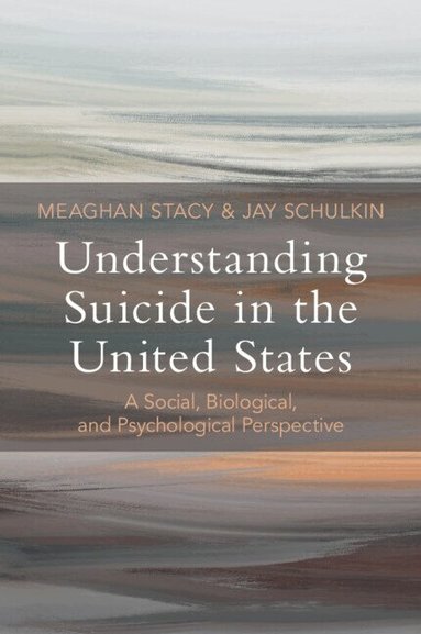 Meaghan Stacy, Jay Schulkin - Understanding Suicide in the United States, Häftad