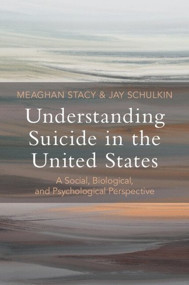 bokomslag Understanding Suicide in the United States