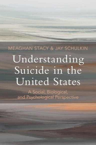 Meaghan Stacy, Jay Schulkin - Understanding Suicide in the United States, Inbunden