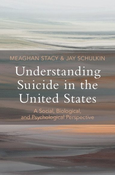 bokomslag Understanding Suicide in the United States