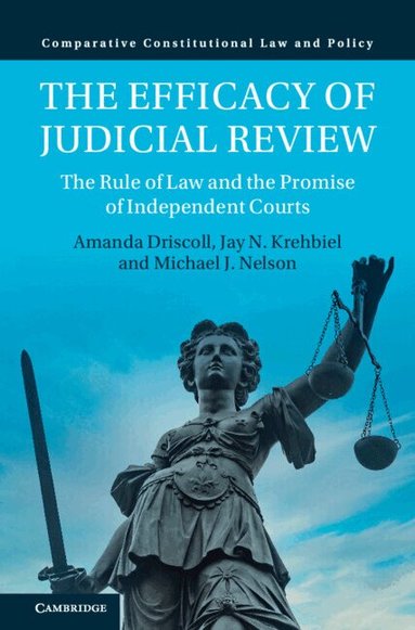 Amanda Driscoll, Jay N. Krehbiel, Michael J. Nelson - The Efficacy of Judicial Review, Inbunden