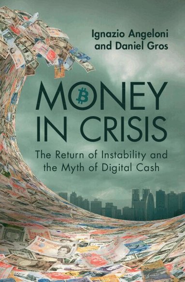 Ignazio Angeloni, Daniel Gros - Money In Crisis, Inbunden