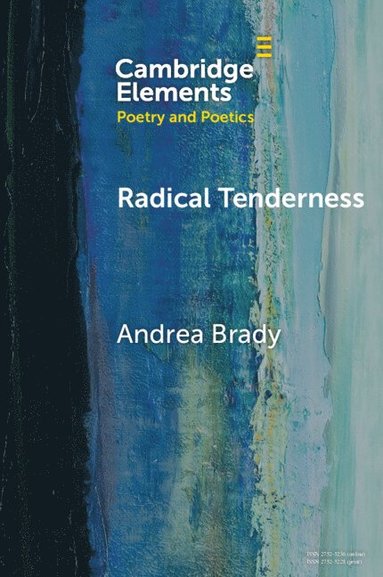 bokomslag Radical Tenderness