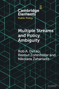 bokomslag Multiple Streams and Policy Ambiguity