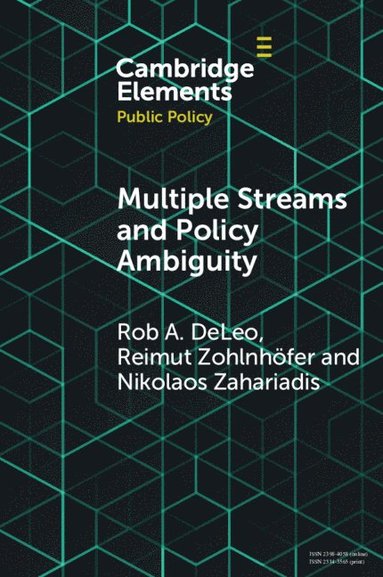 bokomslag Multiple Streams and Policy Ambiguity