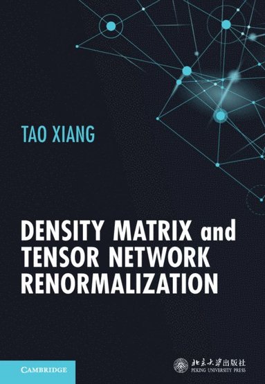 bokomslag Density Matrix and Tensor Network Renormalization