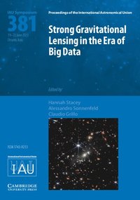 bokomslag Strong Gravitational Lensing in the Era of Big Data (IAU S381)