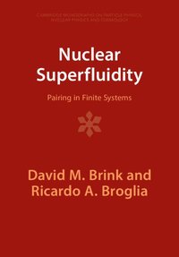 bokomslag Nuclear Superfluidity
