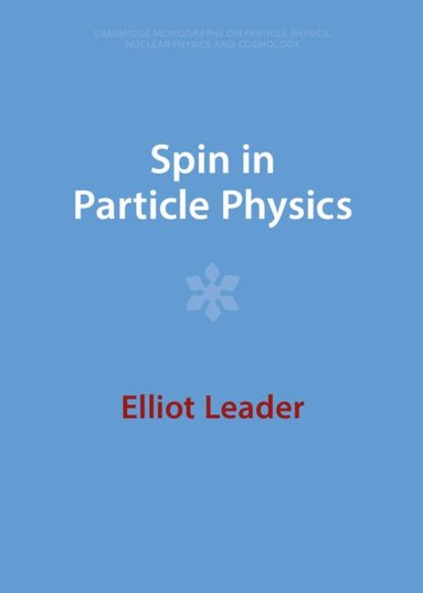 bokomslag Spin in Particle Physics