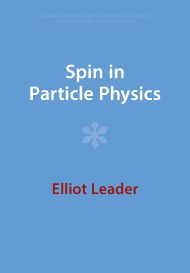 bokomslag Spin in Particle Physics