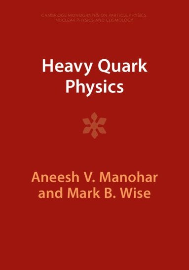 bokomslag Heavy Quark Physics