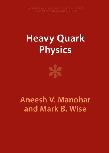 bokomslag Heavy Quark Physics