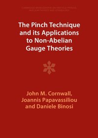 bokomslag The Pinch Technique and its Applications to Non-Abelian Gauge Theories