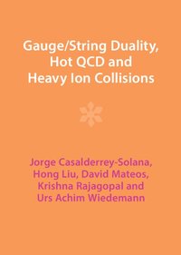 bokomslag Gauge/String Duality, Hot QCD and Heavy Ion Collisions
