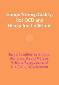 bokomslag Gauge/String Duality, Hot QCD and Heavy Ion Collisions