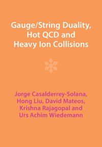 bokomslag Gauge/String Duality, Hot QCD and Heavy Ion Collisions