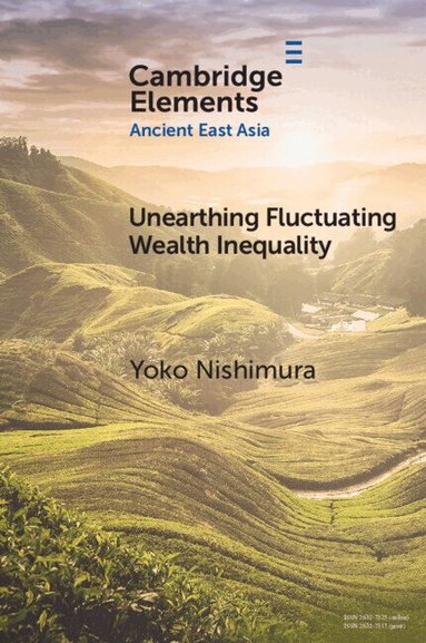 Yoko Nishimura - Unearthing Fluctuating Wealth Inequality, Häftad