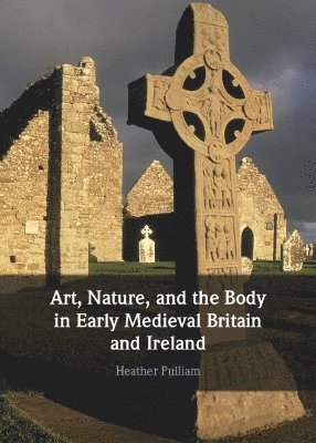 bokomslag Art, Nature, and the Body in Early Medieval Britain and Ireland