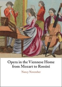 bokomslag Opera in the Viennese Home from Mozart to Rossini
