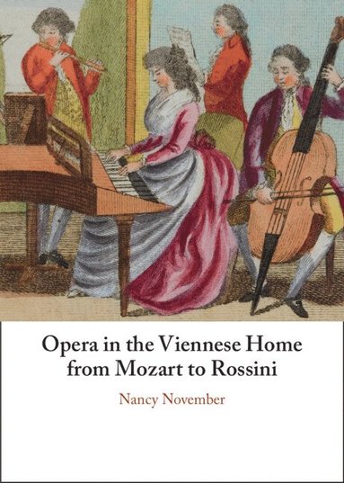 bokomslag Opera in the Viennese Home from Mozart to Rossini