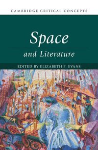 bokomslag Space and Literary Studies