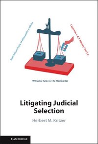 bokomslag Litigating Judicial Selection