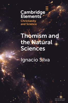 Ignacio Silva, Ignacio (Universidad Austral) Silva - Thomism and the Natural Sciences, Häftad