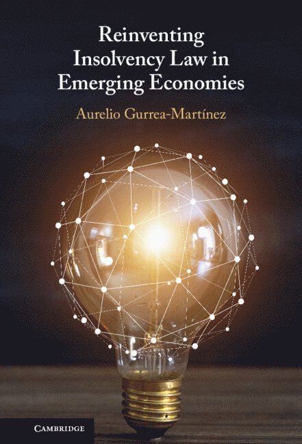 Reinventing Insolvency Law in Emerging Economies 1