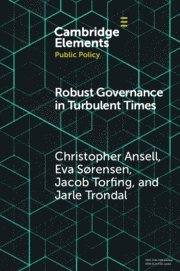 bokomslag Robust Governance in Turbulent Times