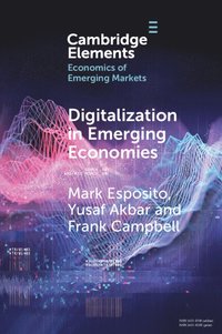 bokomslag Digitalization in Emerging Economies