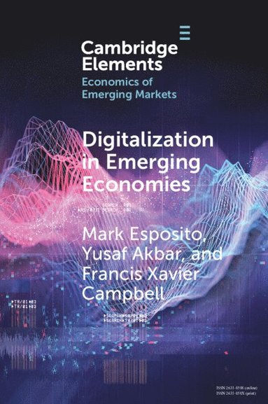 bokomslag Digitalization in Emerging Economies