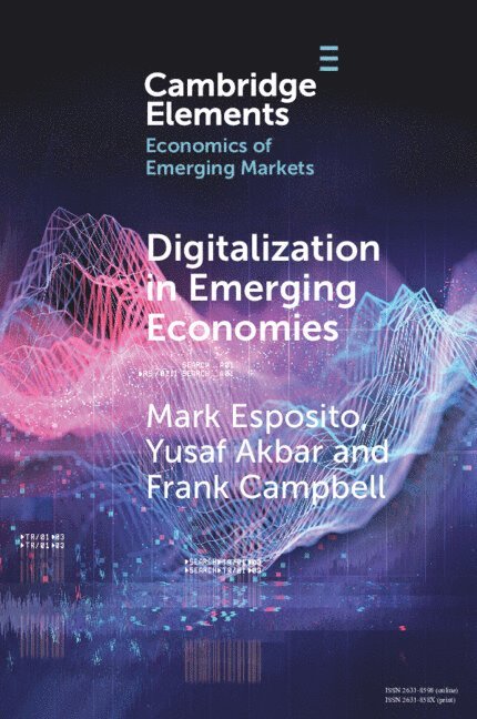 Digitalization in Emerging Economies 1