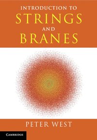 bokomslag Introduction to Strings and Branes