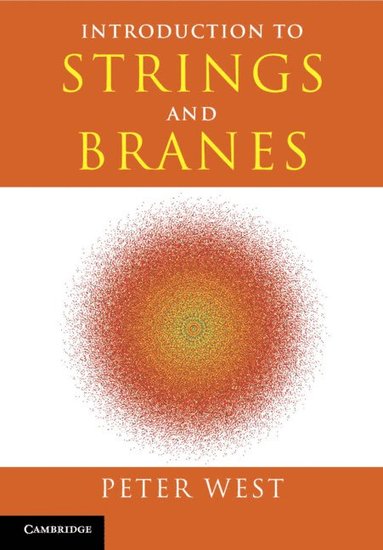 bokomslag Introduction to Strings and Branes